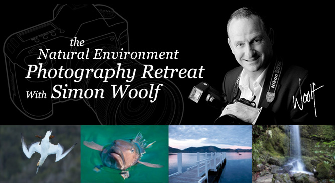 article natural environment photography banner