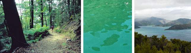 charter explore the queen charlotte track