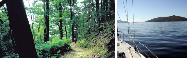 the experience overview