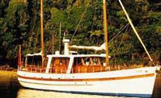 charter motor yacht cruising 3