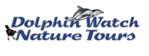 dolphin watch eco tours
